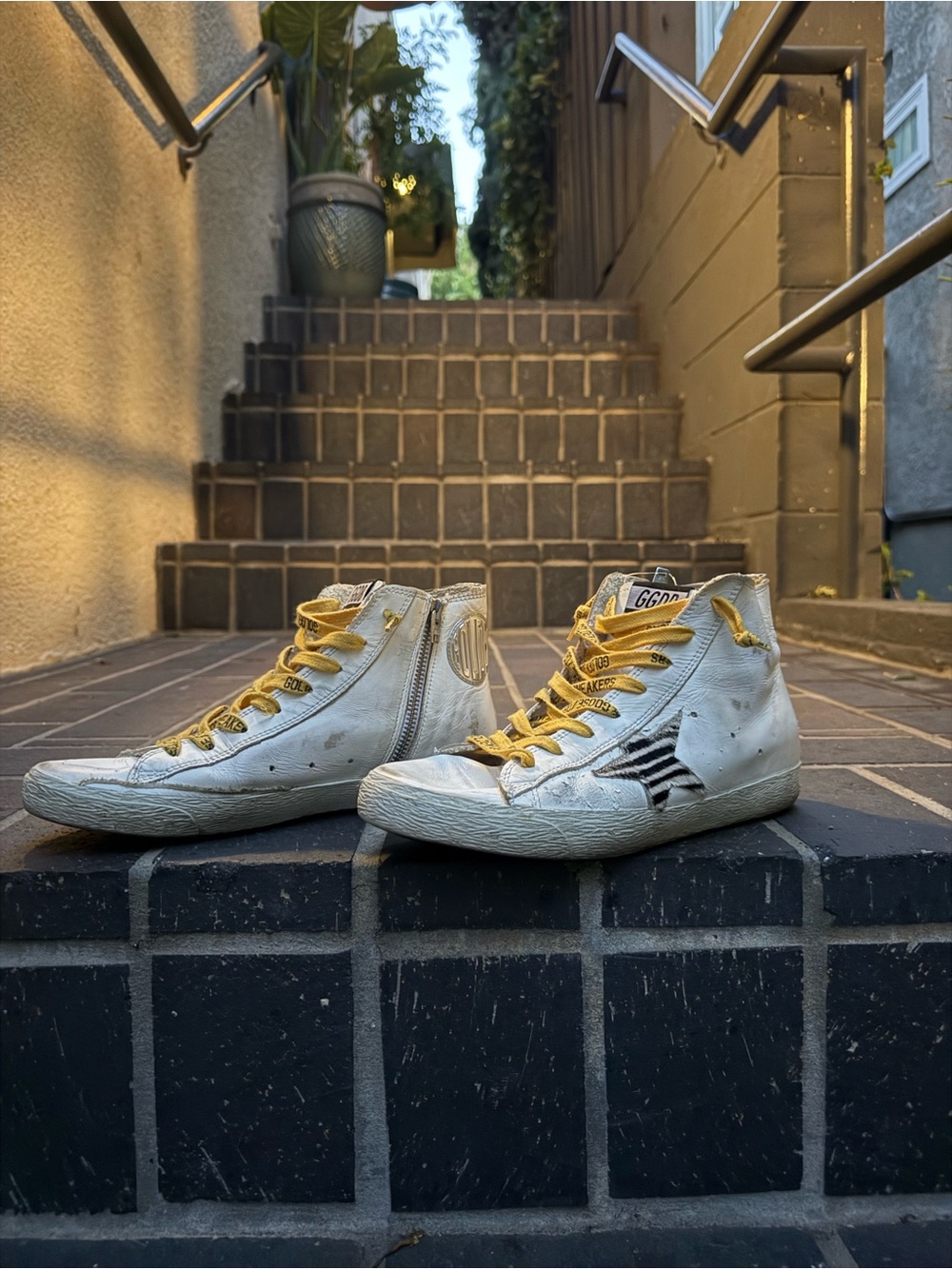 Golden Goose Women’s Leather Francy Penstar Hi-Top Sneakers (White, W-38EU/8US)